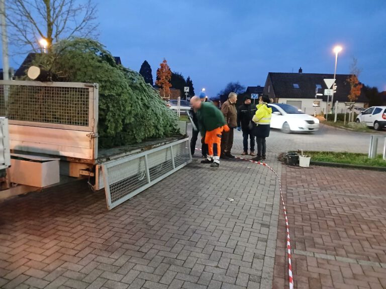 photo_2025-11-29_17-05-48