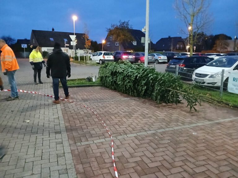 photo_2025-11-29_17-05-51