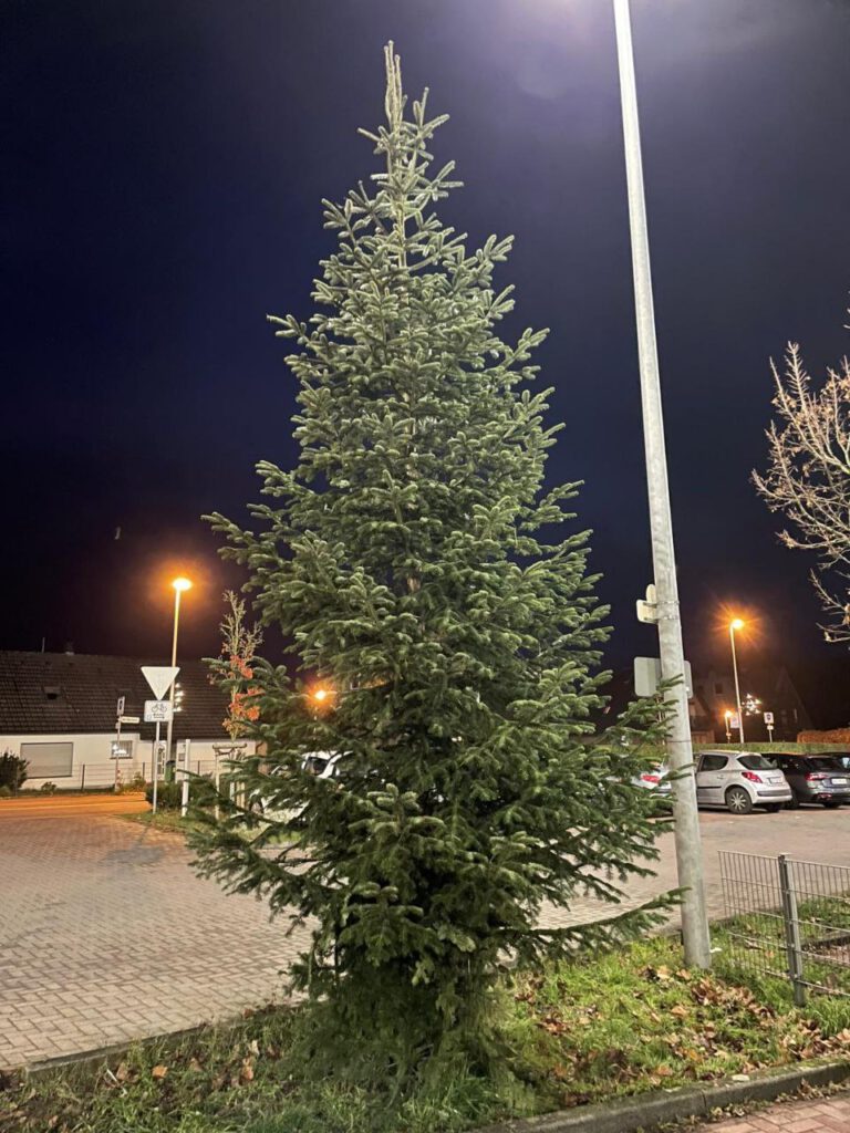 photo_2025-11-29_17-05-52