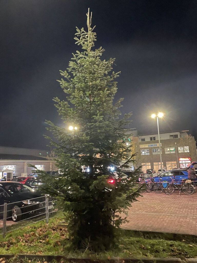 photo_2025-11-29_17-05-54